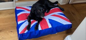 Union Jack Bean bag Chair & Dog Bed